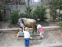  Philly Zoo